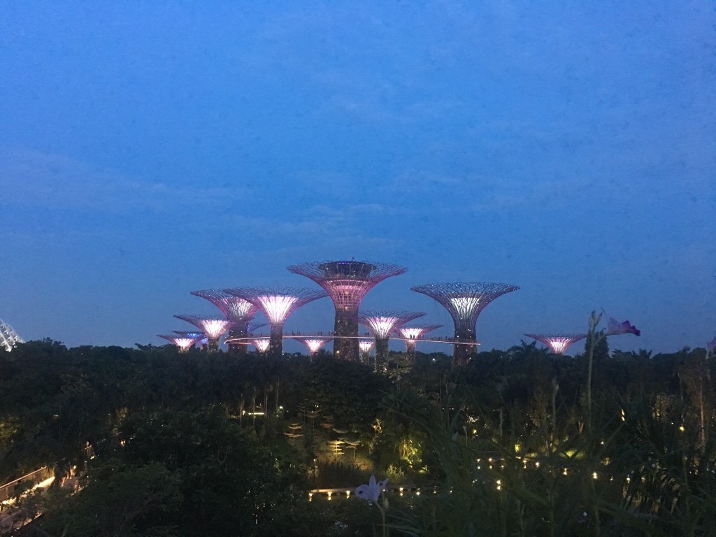 Labor of Care across the&nbsp;Pacific